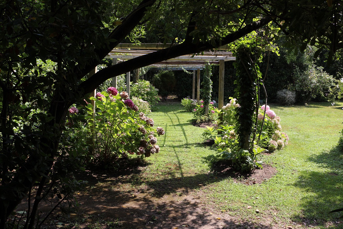 Giardino grosso canguro