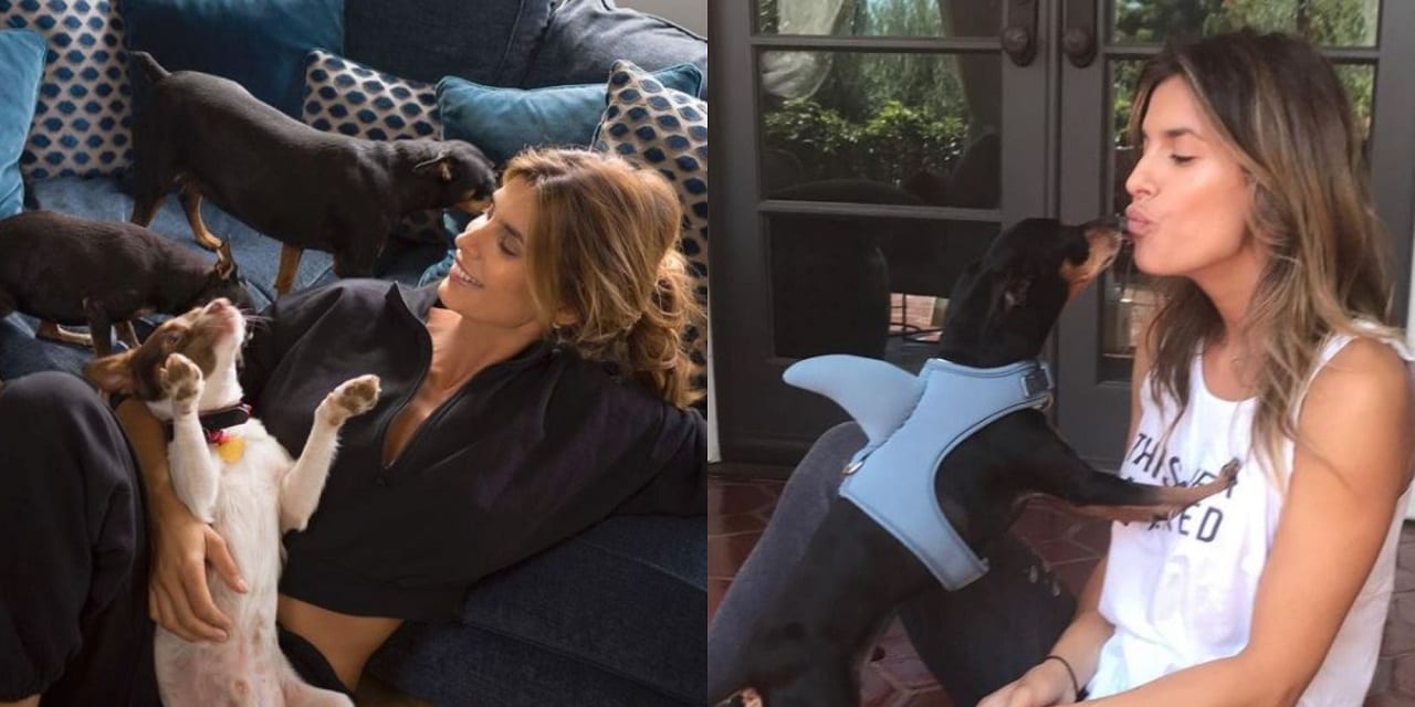 cani Elisabetta Canalis
