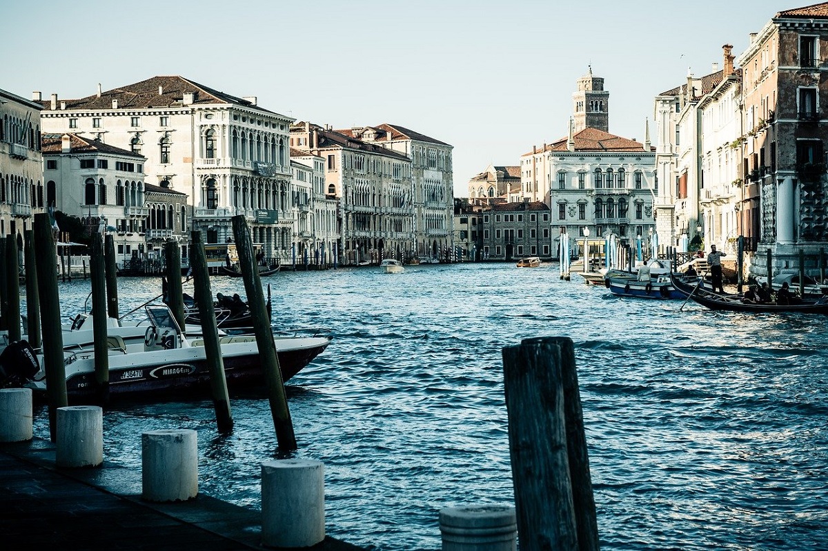 pesci enormi Venezia