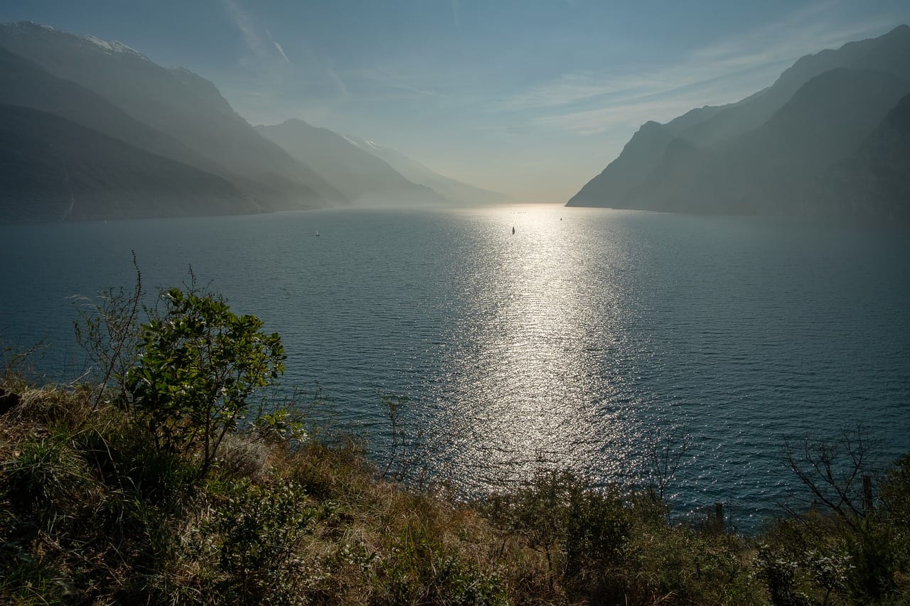 serpente Lago di Garda