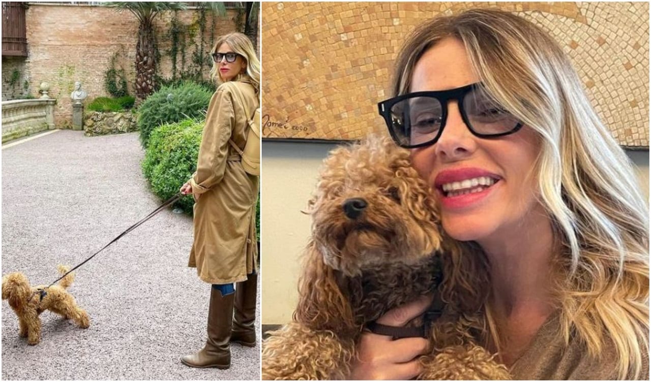 Alessia Marcuzzi cane