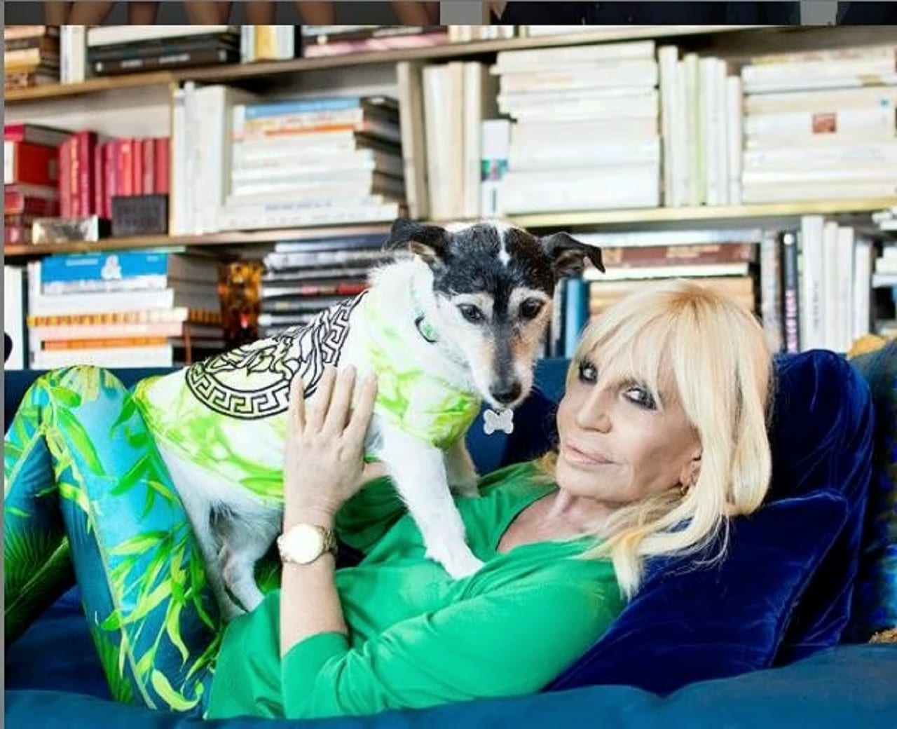 Donatella Versace cane