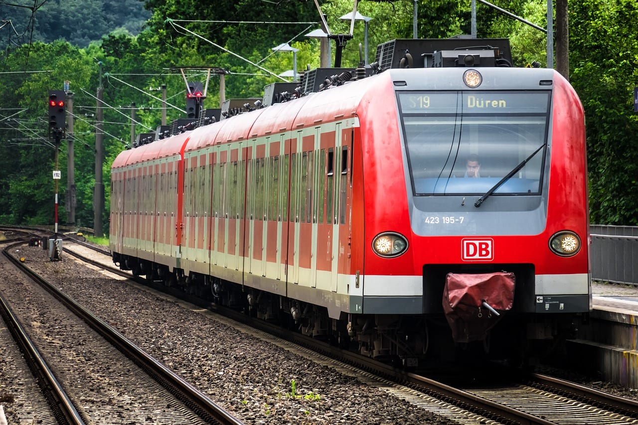 gatto tetto treno