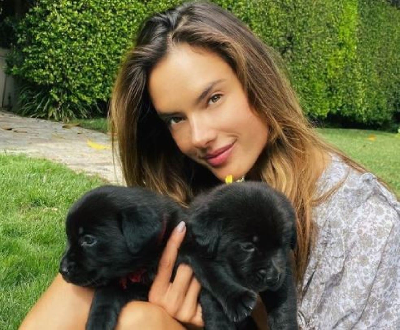 Alessandra Ambrosio cani