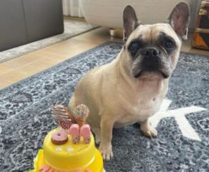 Chiara Ferragni compleanno Matilda