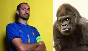 Giorgio Chiellini gorilla video