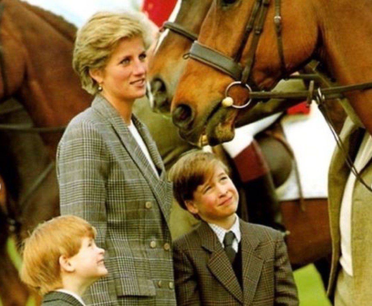 Lady Diana cavalli