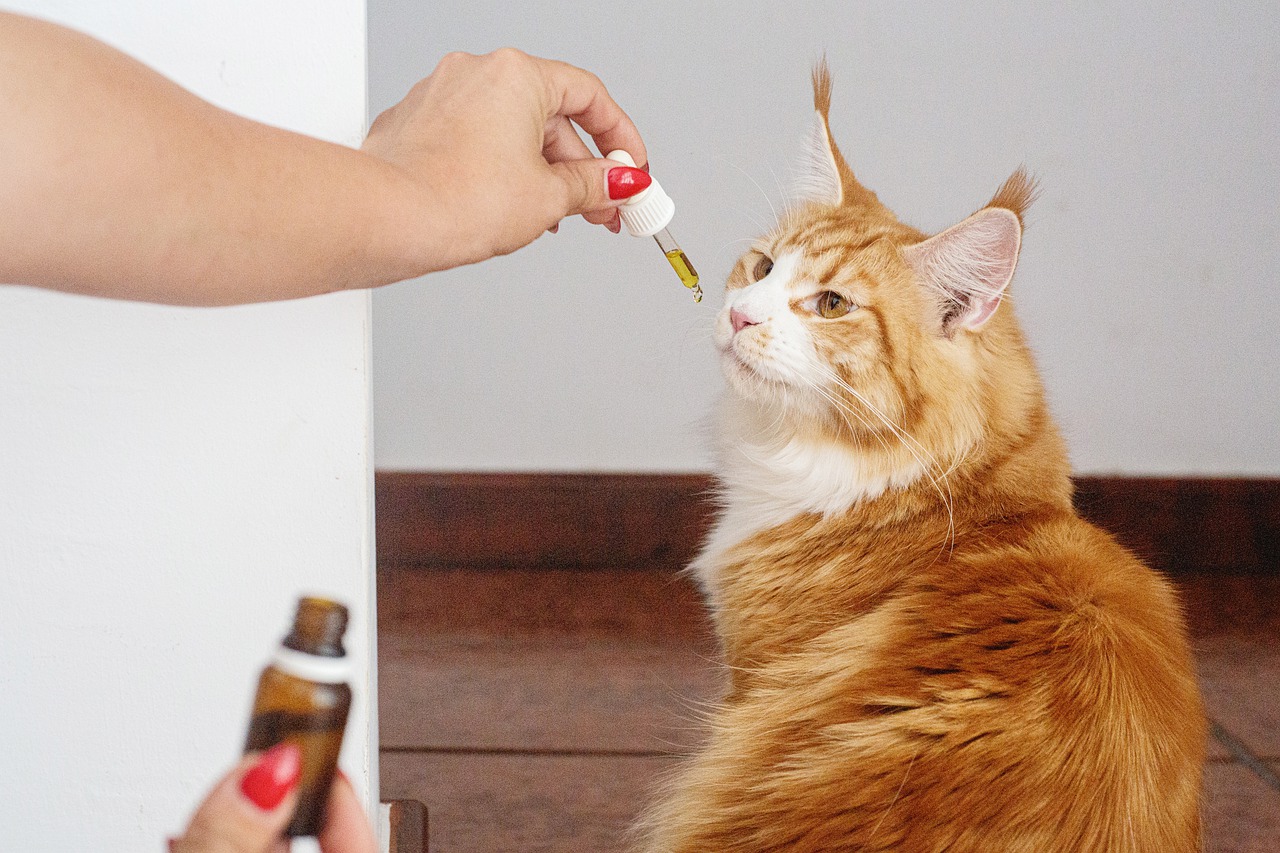 farmaci umani per animali