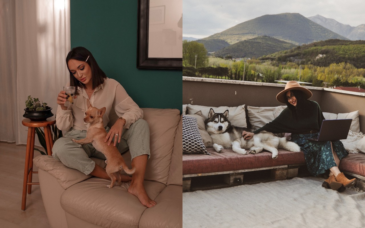 Concorso foto cani