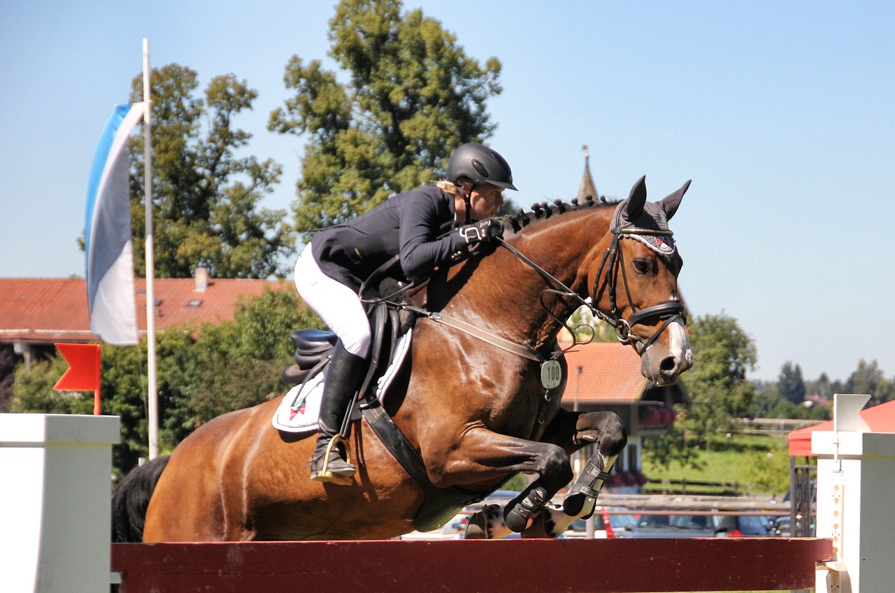 Olimpiadi stop sport equestri