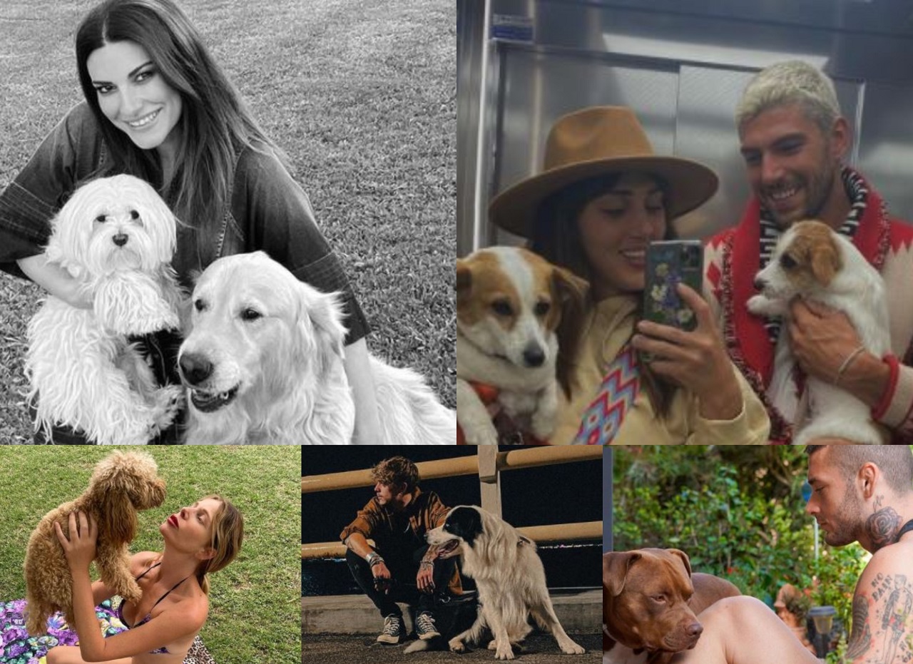 Vip Giornata Internazionale Cane