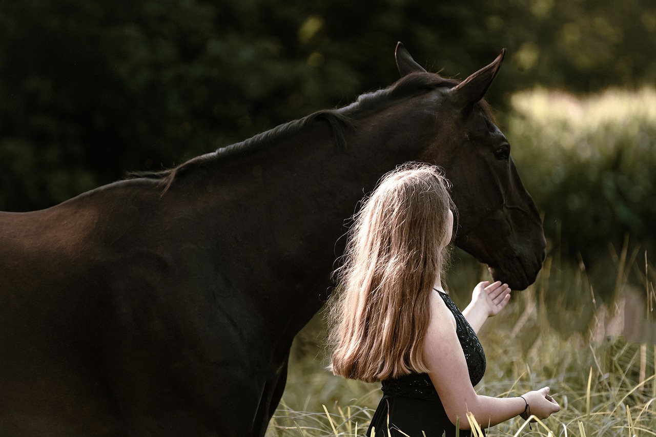 doma gentile cavallo addestramento