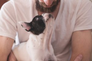Giornata Mondiale Amanti Cani