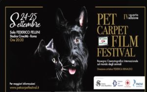 Pet Carpet Film Festival