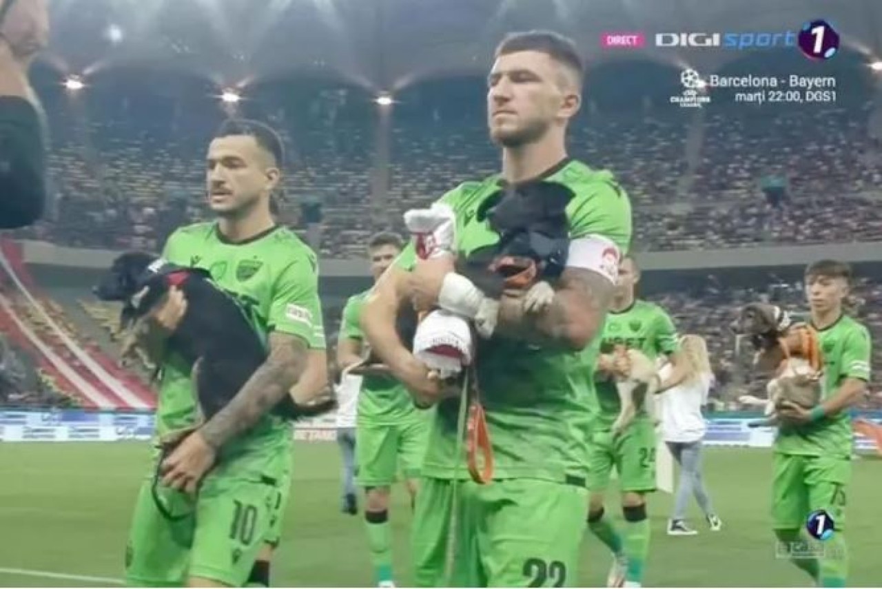 calciatori rumeni cani randagi adozione