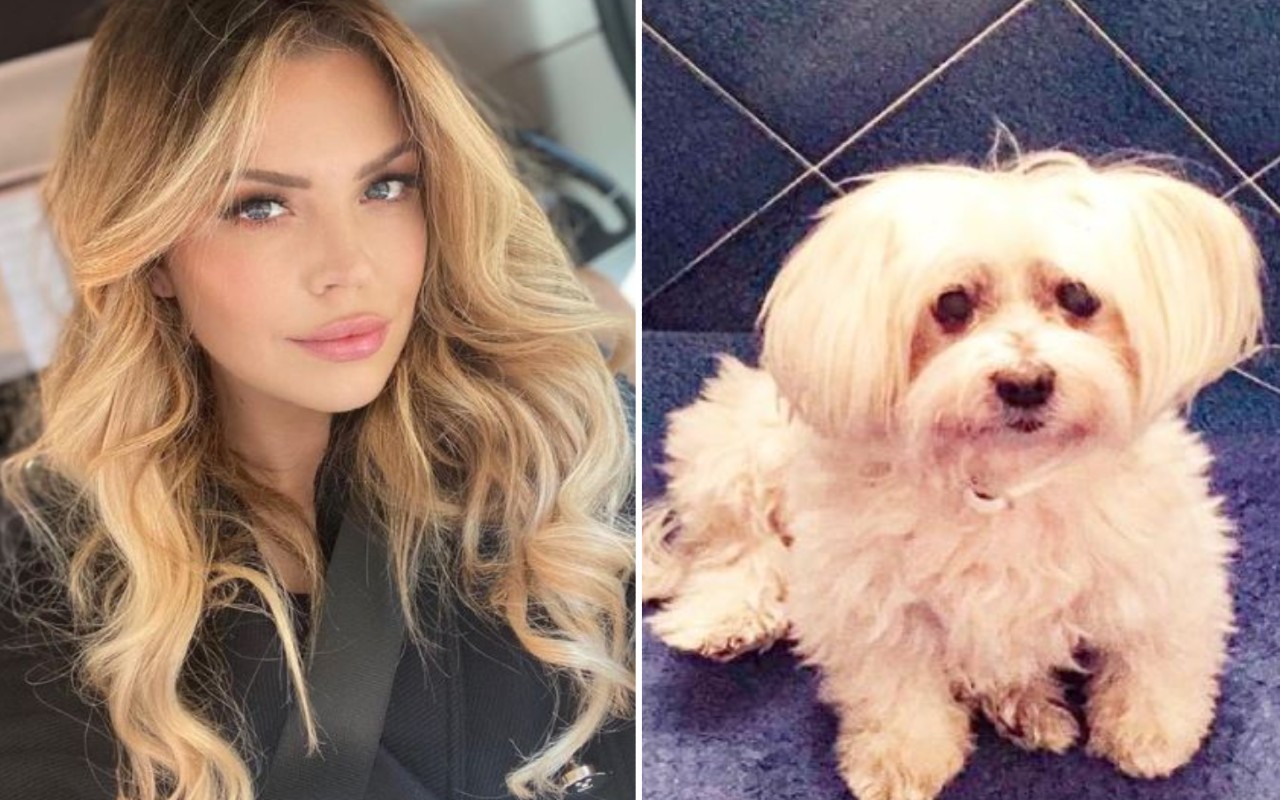 Costanza Caracciolo addio cane
