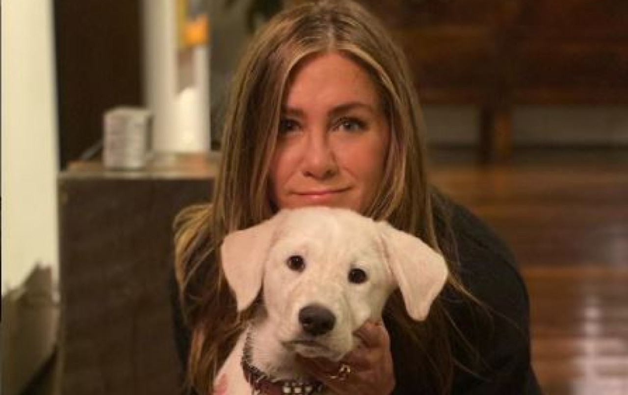 Jennifer Aniston cani