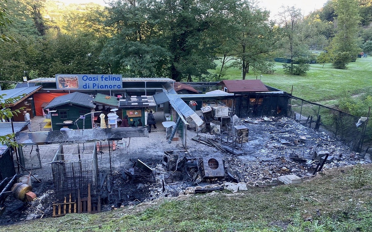 Oasi Felina Pianoro incendio