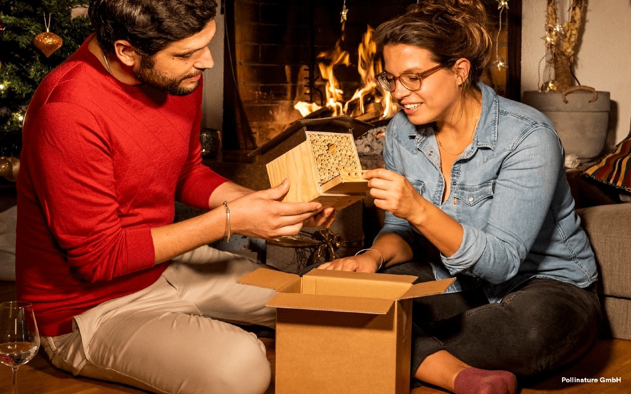 3BEE Natale regalo alveare