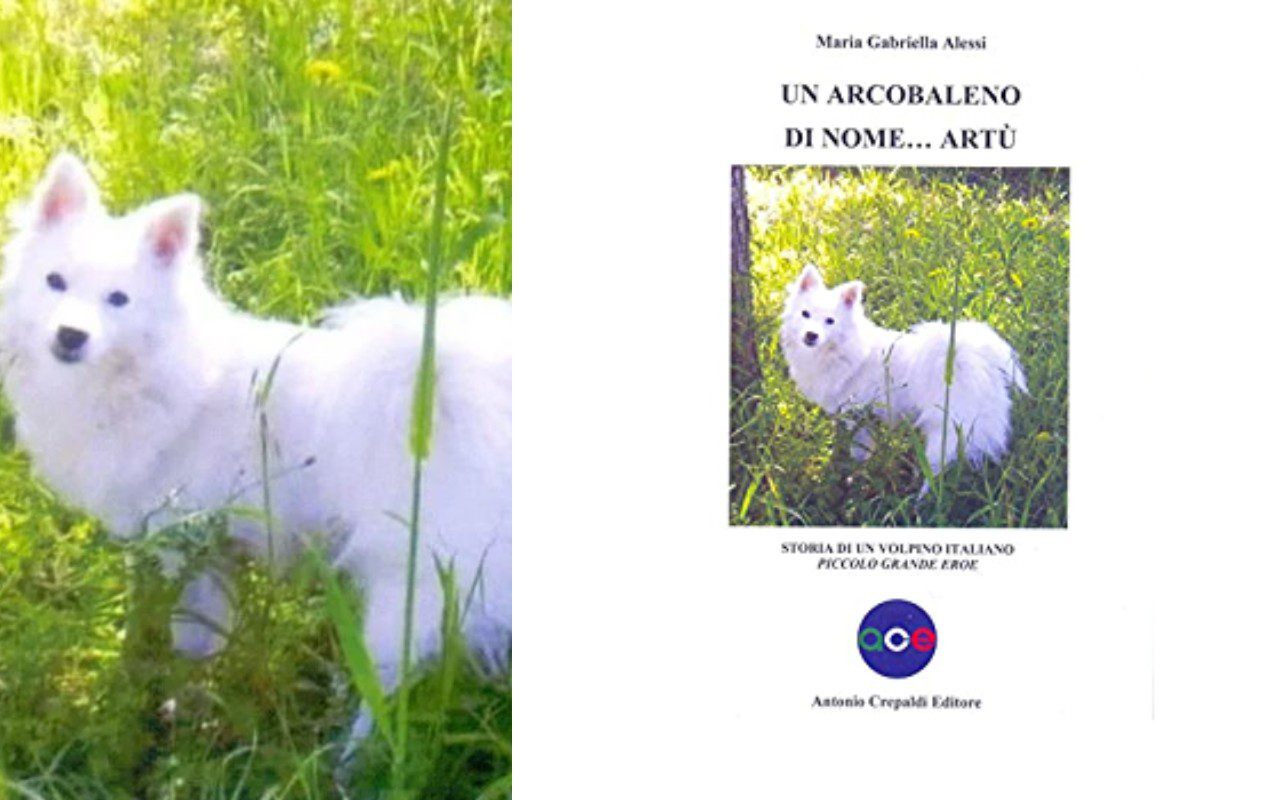 Un arcobaleno di nome Artù libro