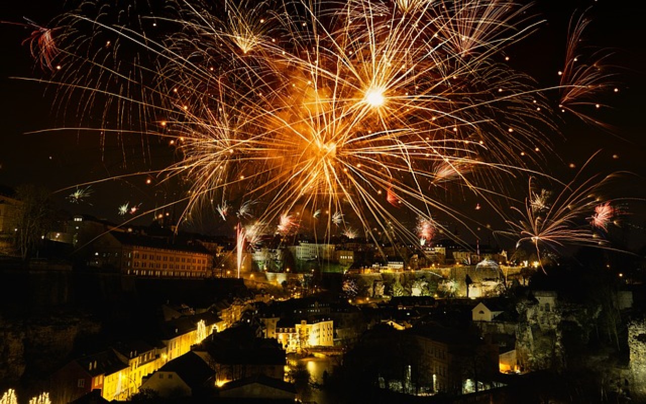Campagna AIDAA contro botti Capodanno
