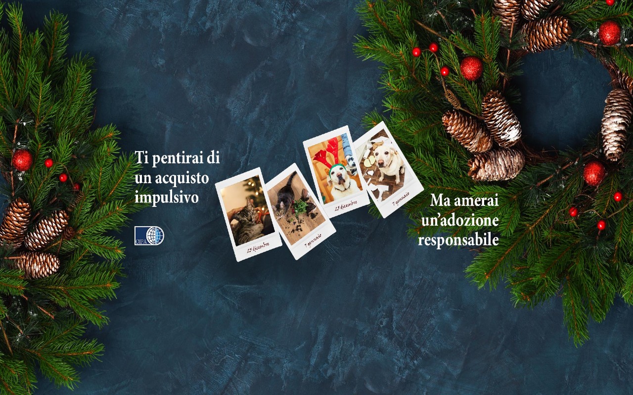 Campagna Oipa adozioni responsabili