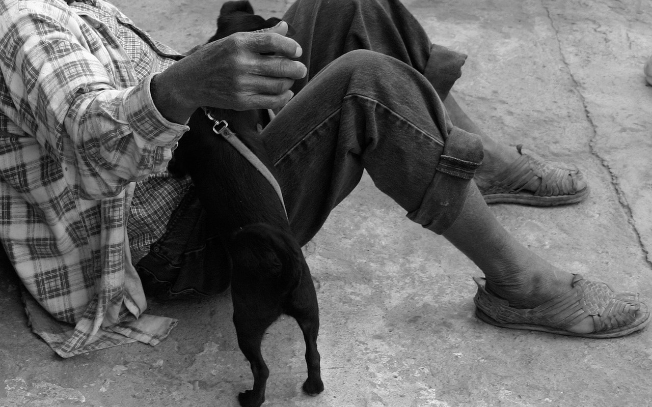 Clochard e cani rischiano congelamento