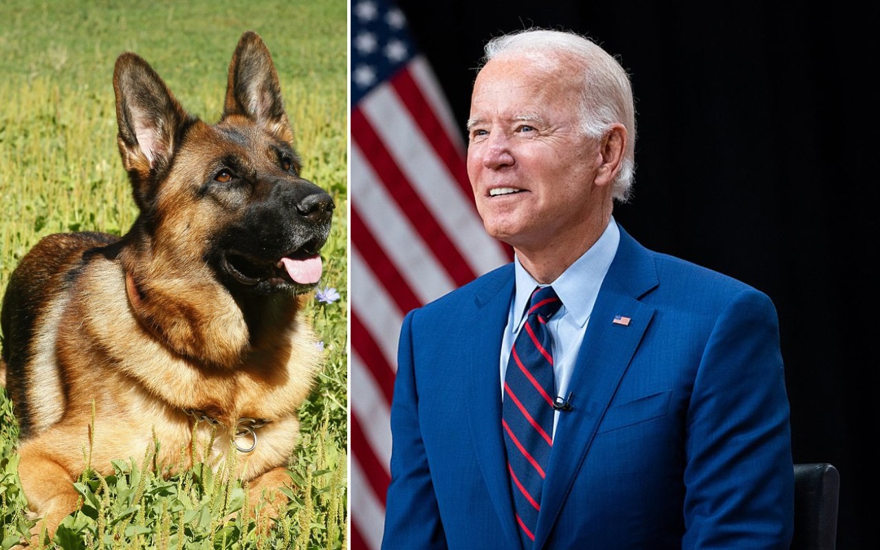 Joe Biden cane