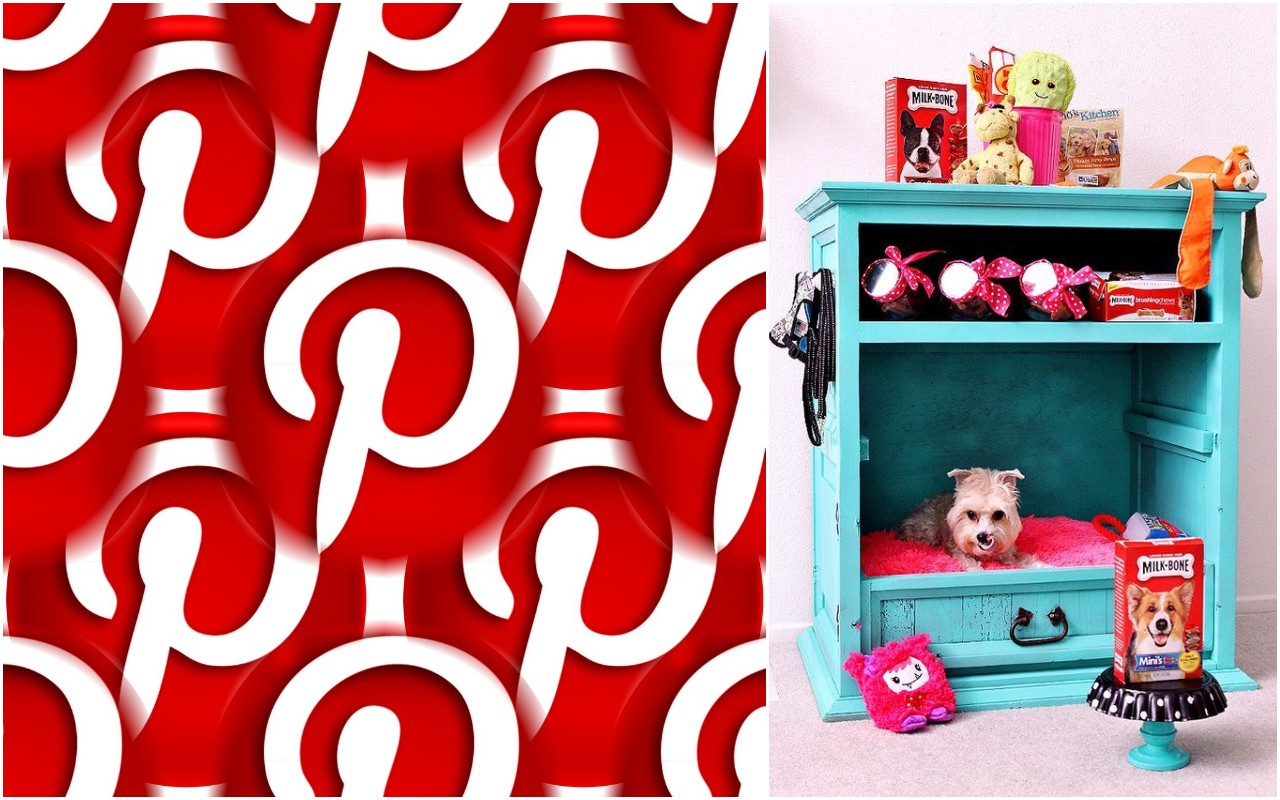 Pinterest Predicts tendenze animali 2022