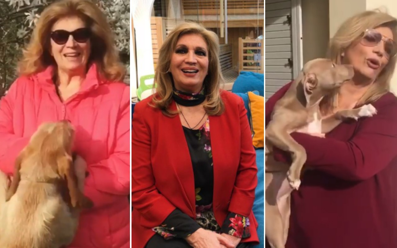 Iva Zanicchi cani