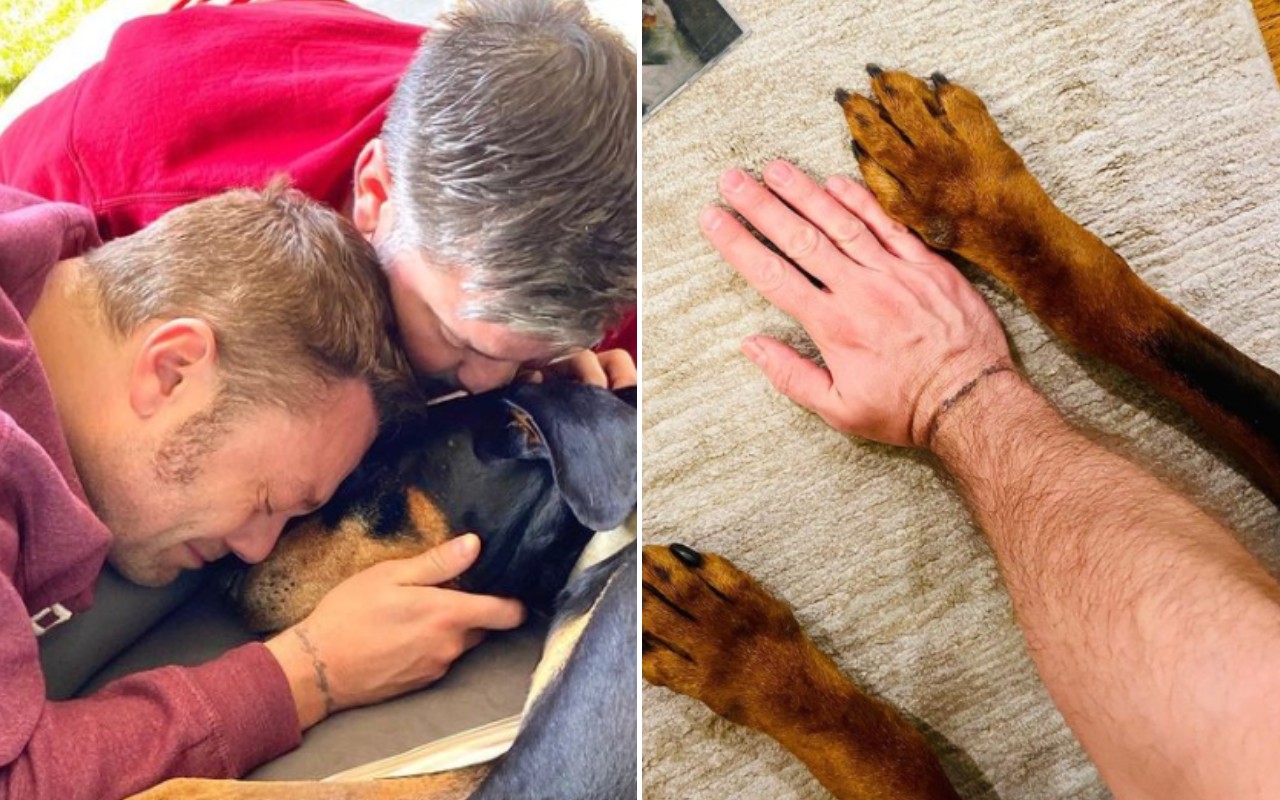 Tiziano Ferro cane Jake