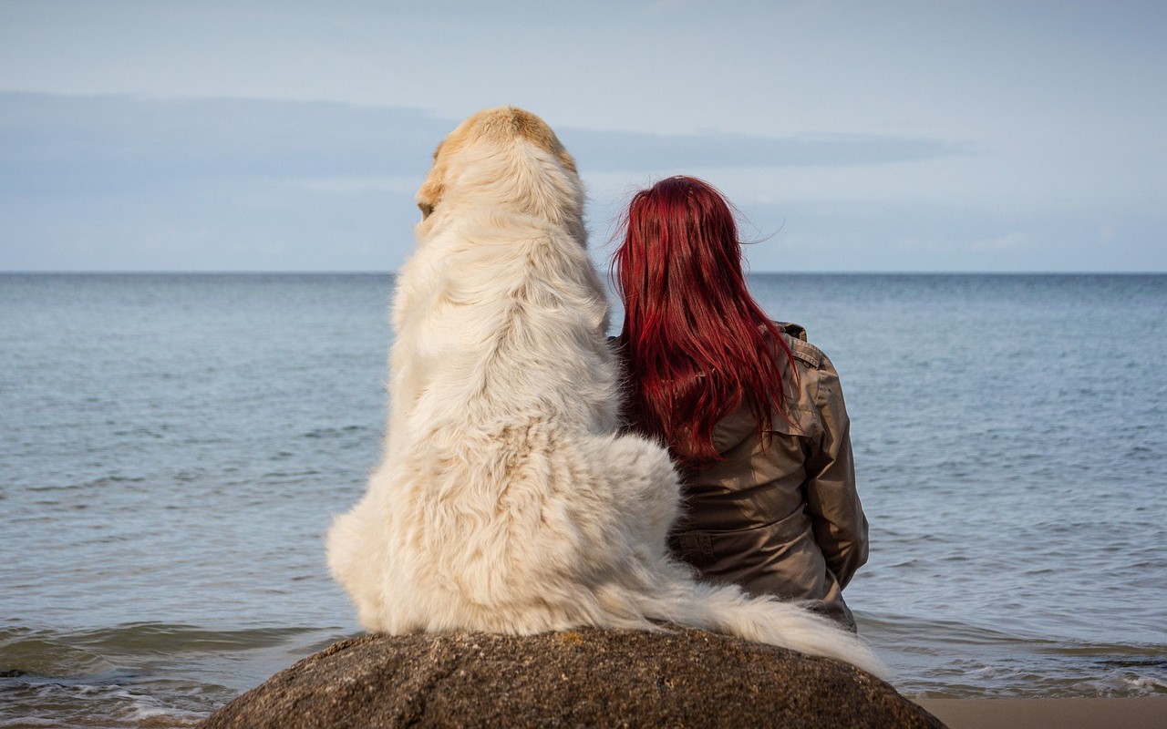 cane affido legame affettivo