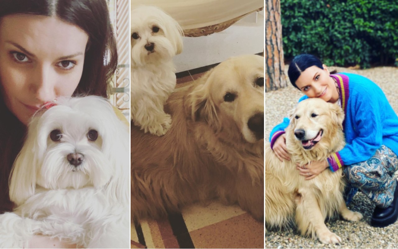 Laura Pausini cani