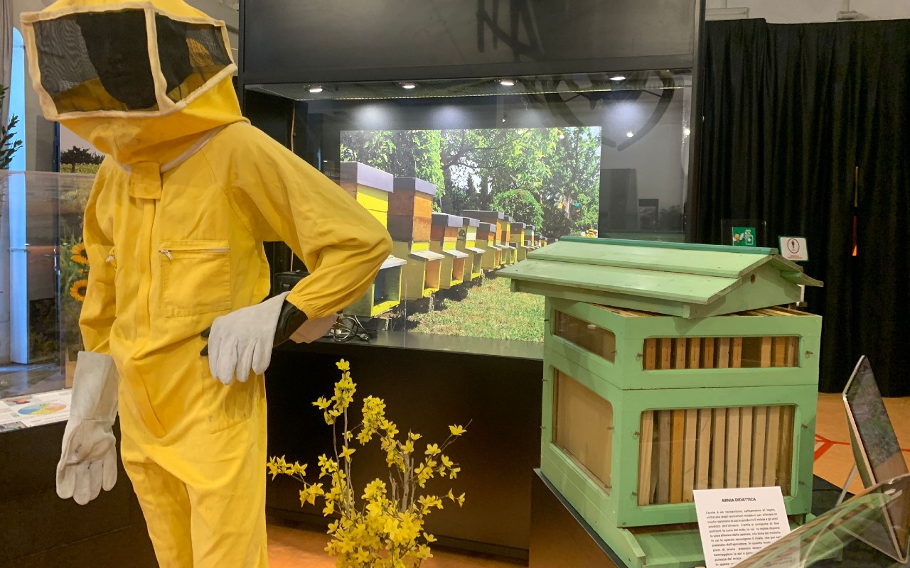 Mostra La Via delle Api Museo Civico Zoologia