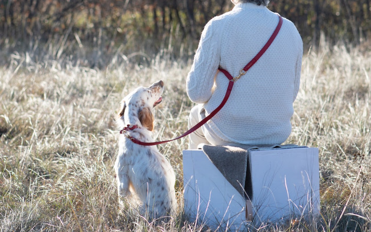 San Valentino regali cani