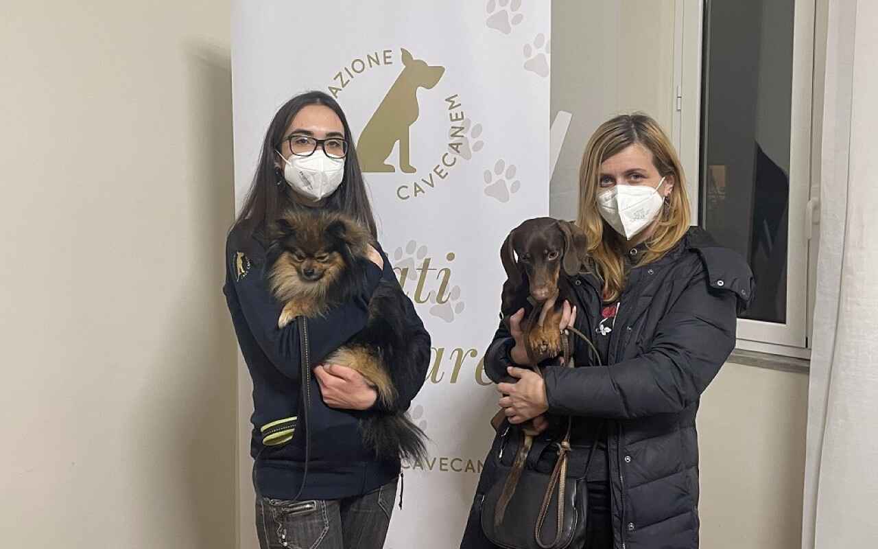 Cave Canem farmaci animali Ucraina