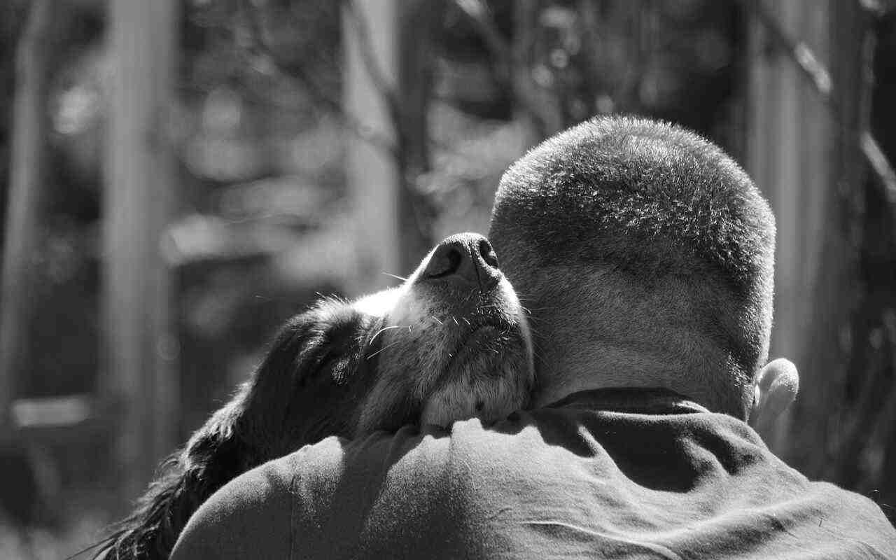 Italia autorizza ingresso animali domestici dei cittadini ucraini