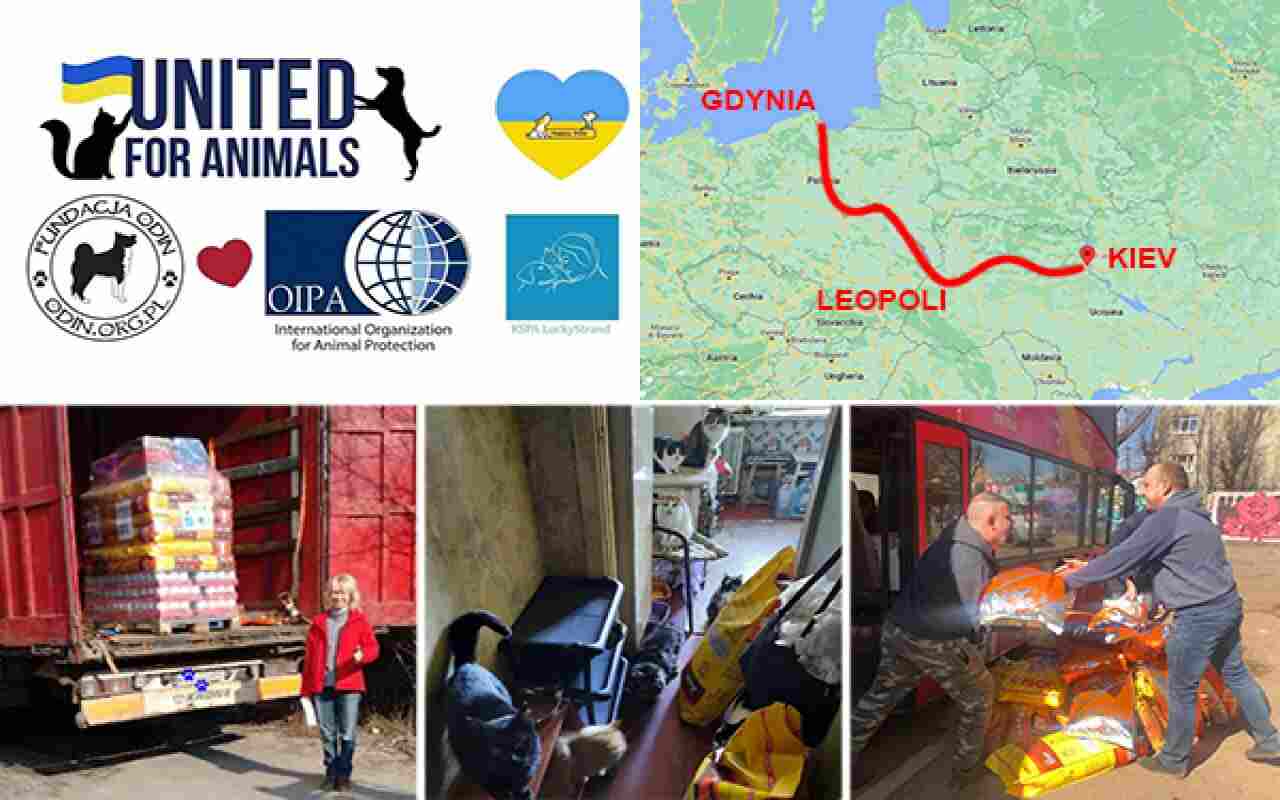 Oipa Ucraina aiuti animali