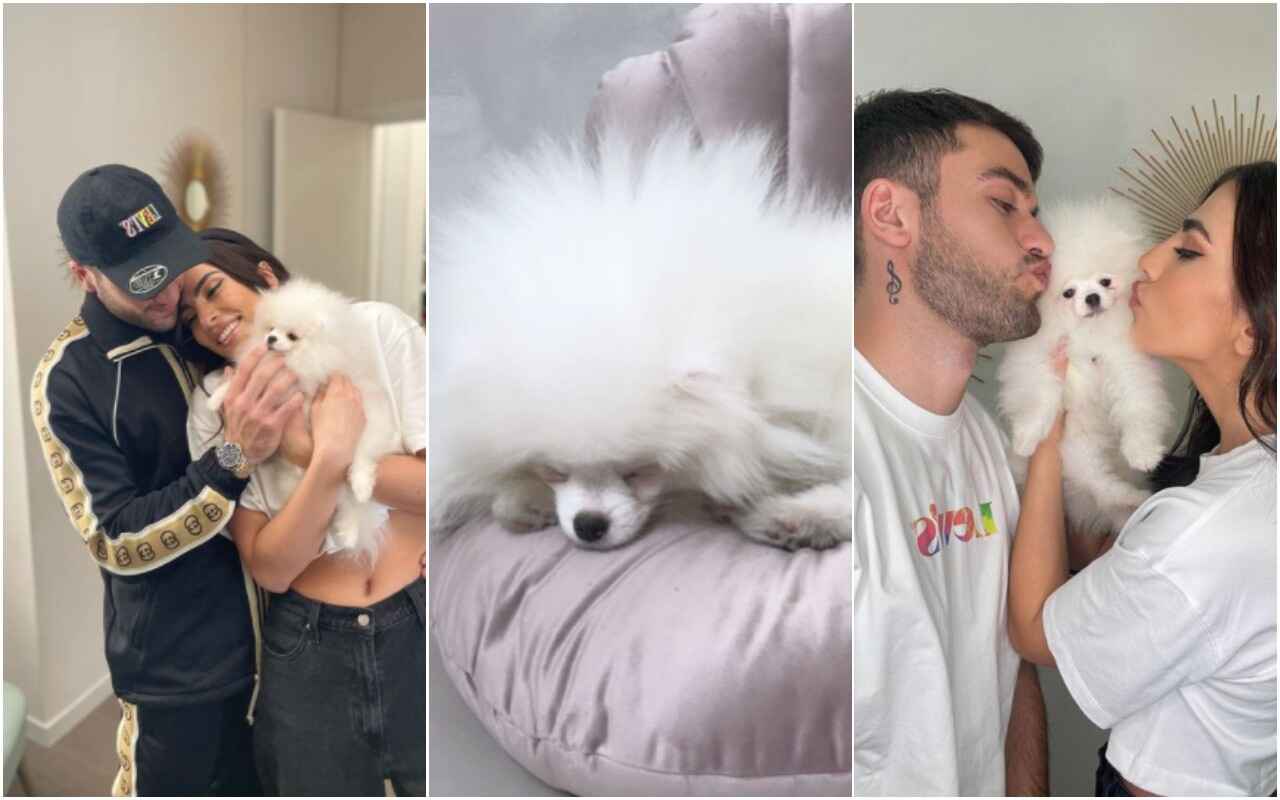 Pierpaolo Pretelli e Giulia Salemi cane