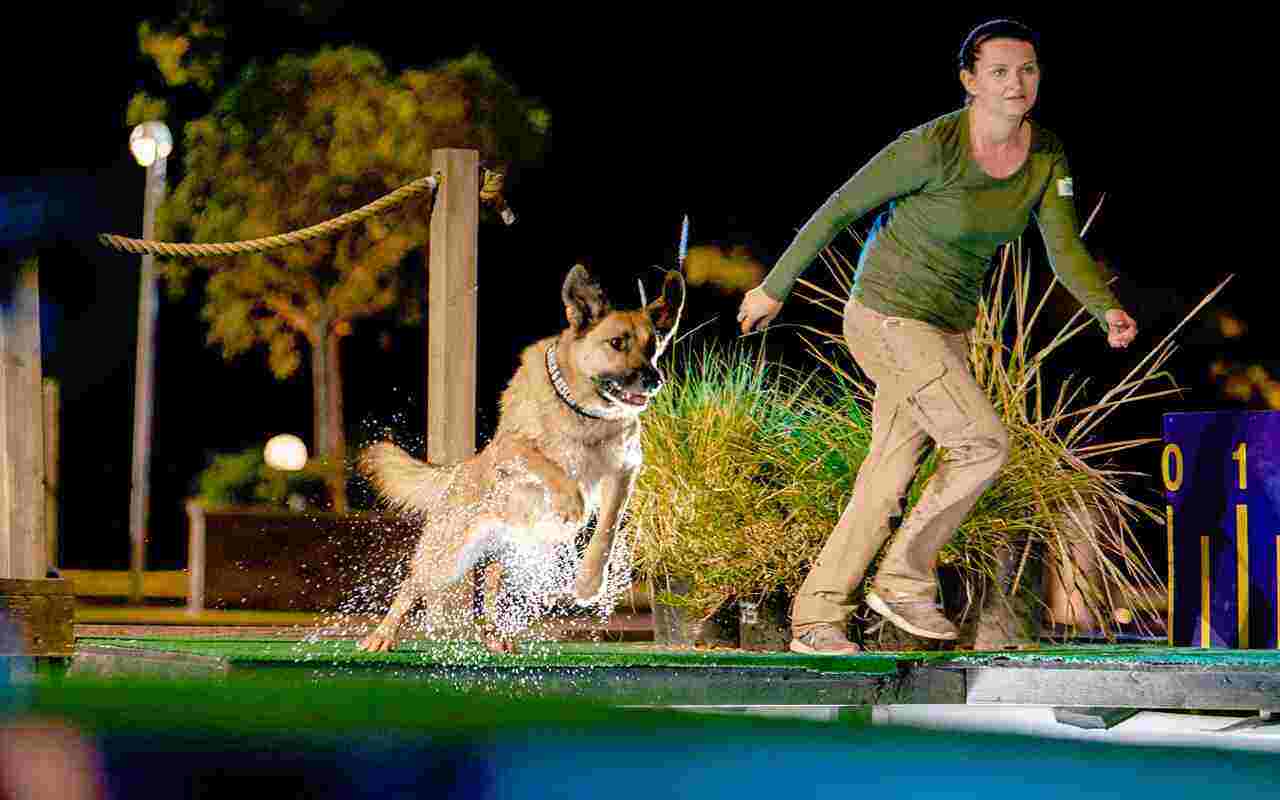 Top Dog