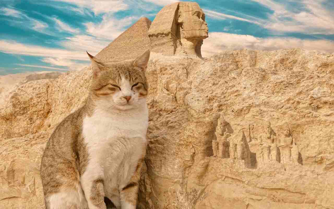 Egitto mummie animali