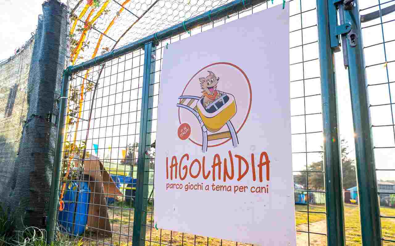 Parco Giochi per cani Iagolandia