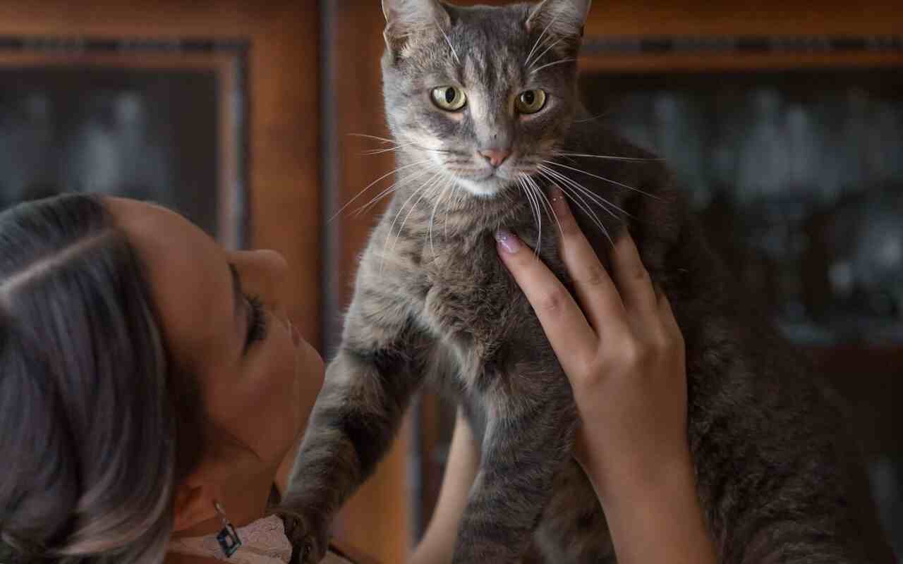 donna sposa gatto