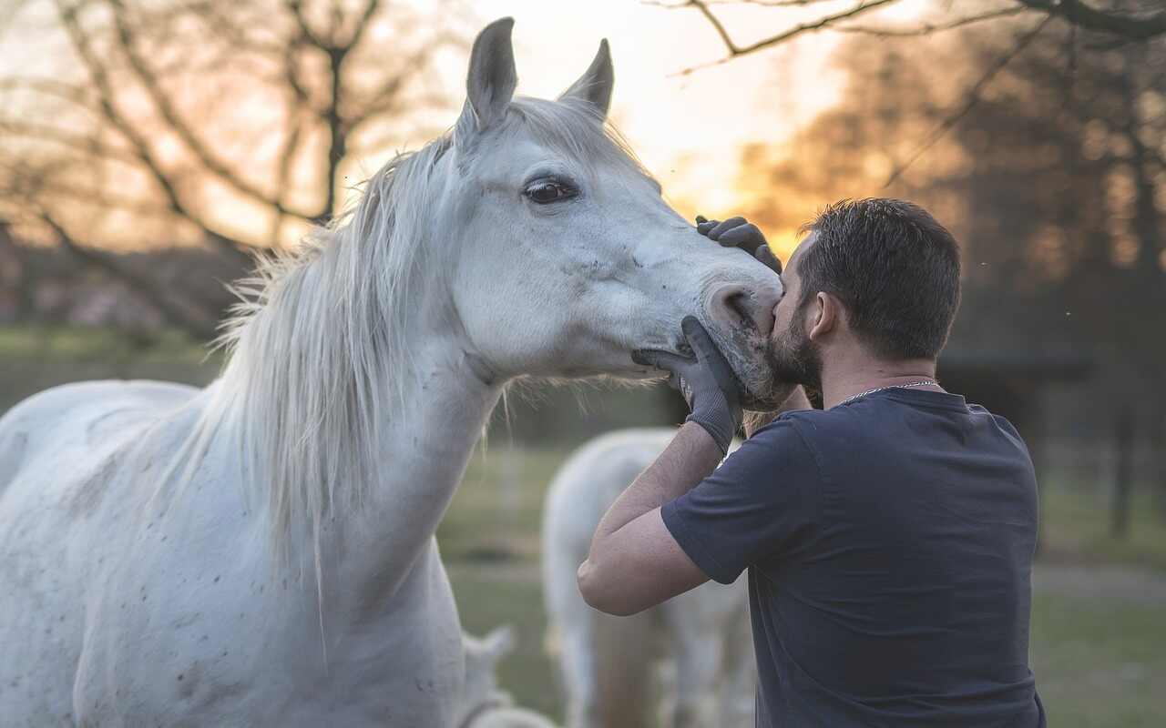 Uomo gira l'Italia a cavallo