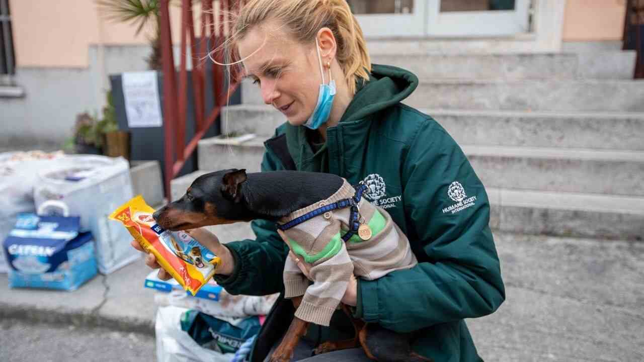 animali ucraina