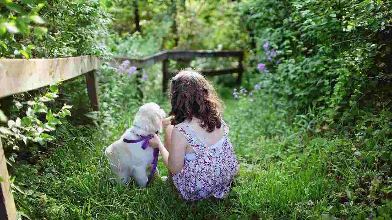 cani bambini crescita