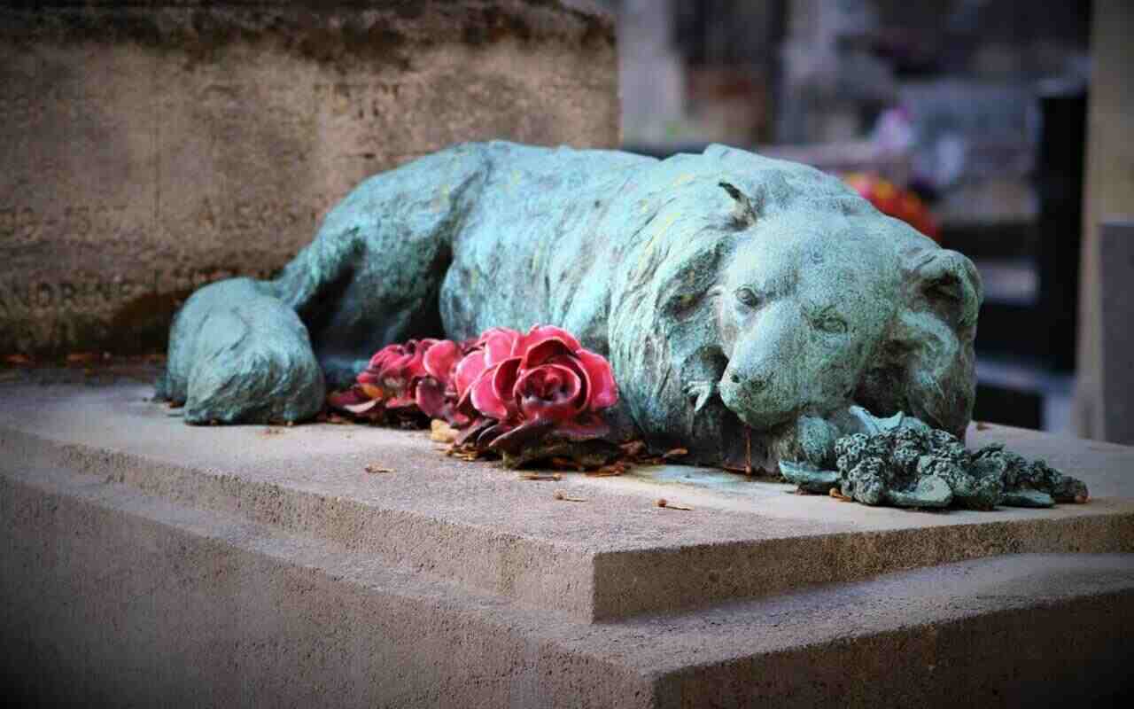 cimitero animali Lazio