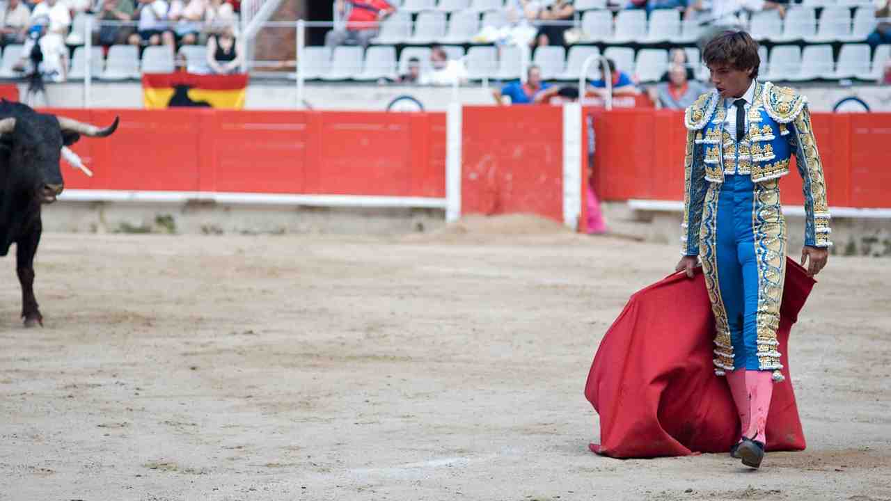 stop corrida