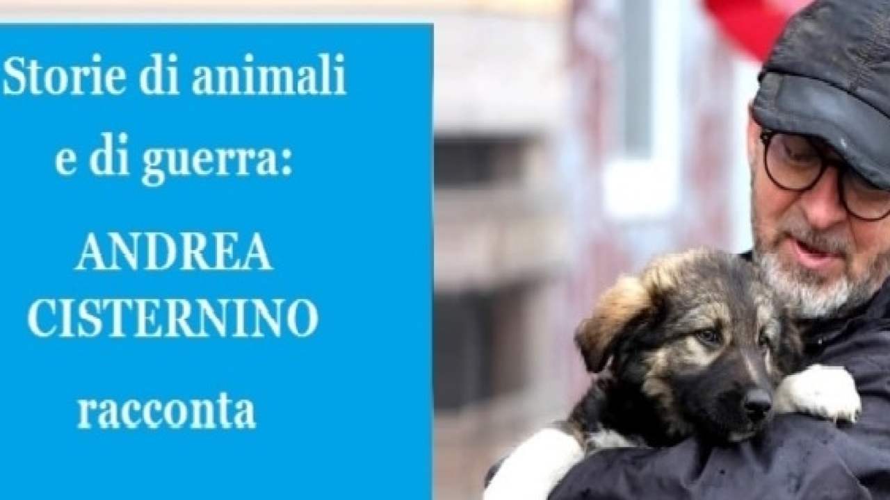 Andrea Cisternino