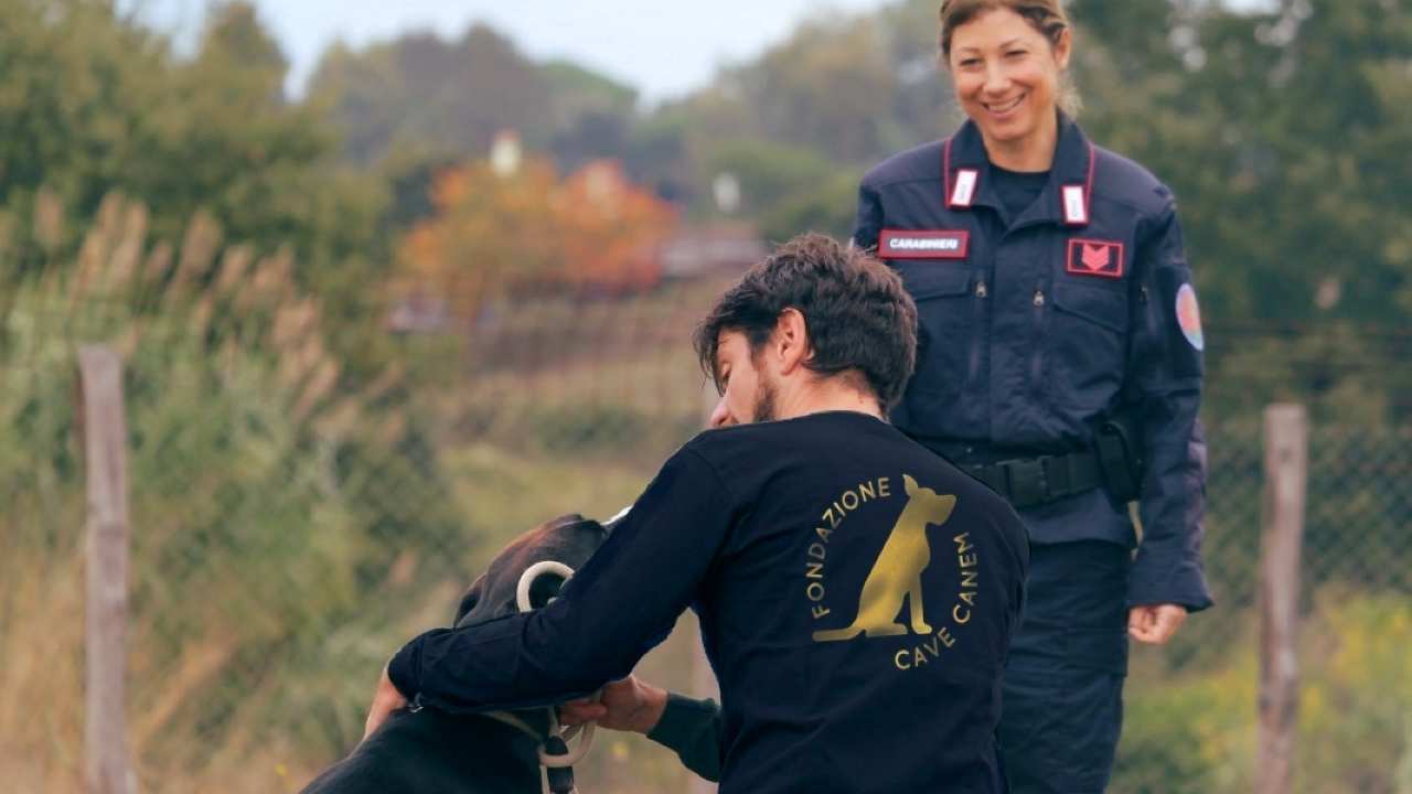 Carabinieri e la tutela animali